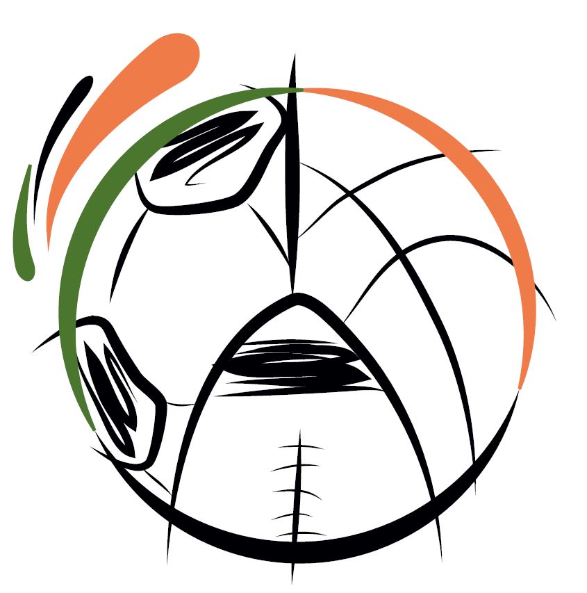 SocialNetSports Logo